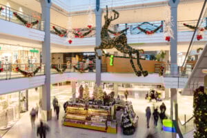 Weihnachtsdeko-98-ThomasSteinlechner