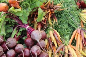 beets-1584454_1280