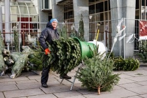 Weihnacht2020-065-ThomasSteinlechner