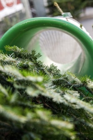 Weihnacht2020-066-ThomasSteinlechner